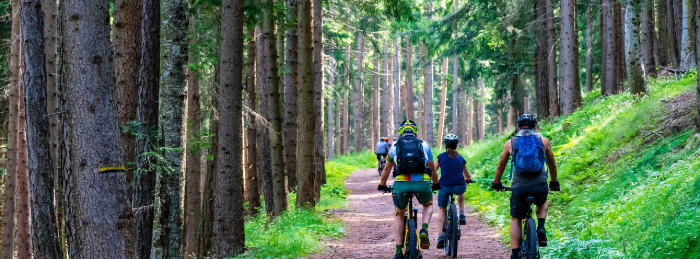 Summer Injuries While Biking