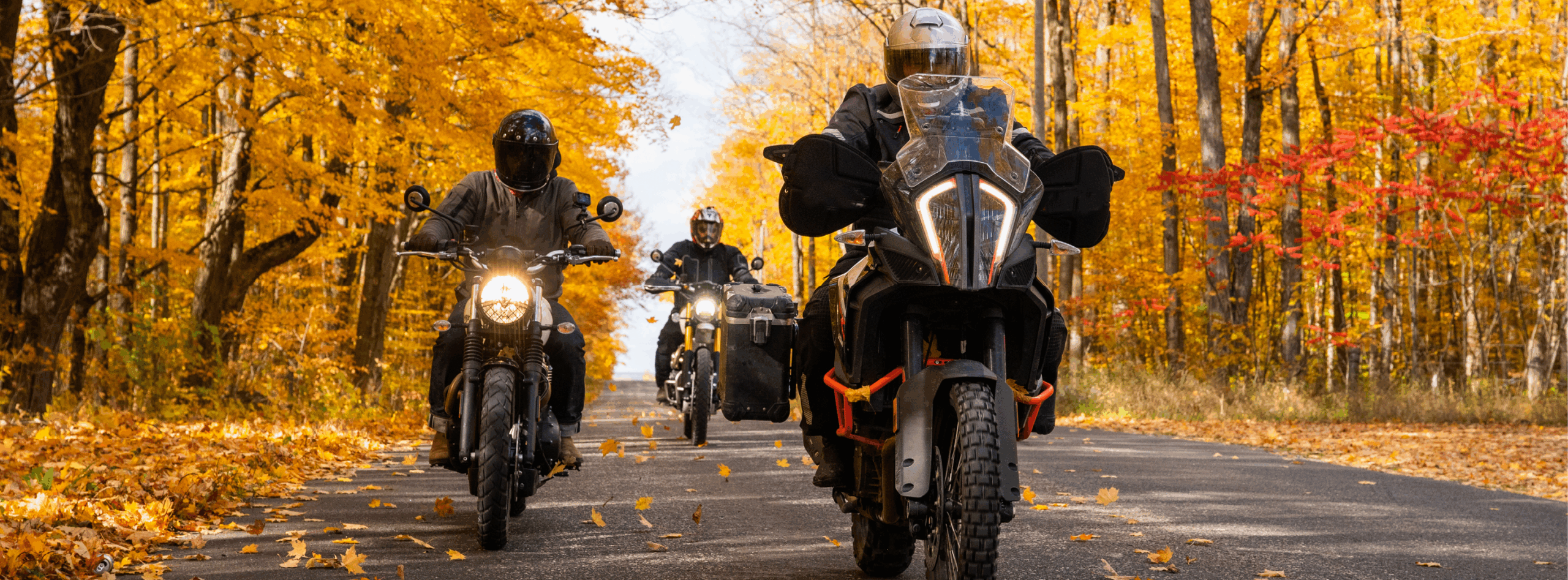 Holiday Readiness Tips from PHI Cares