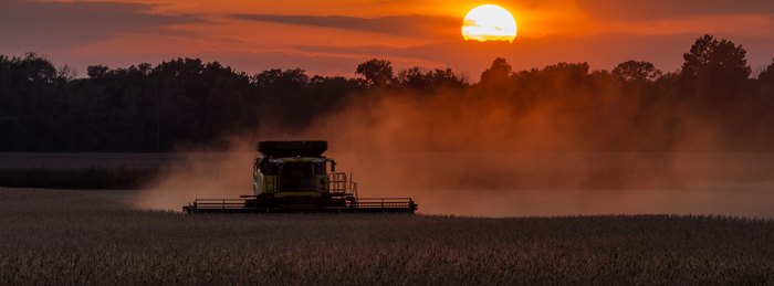 Combine harvesting a grain field at sunset during harvest season.