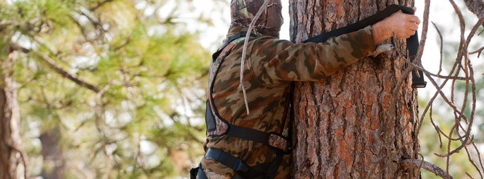 Hunter in camouflage climbing a tree with a full-body harness tethered to the trunk.