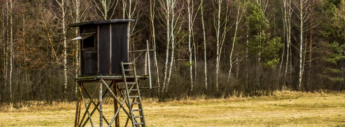 Elevated box stand with a ladder at the edge of a field before hunting season.